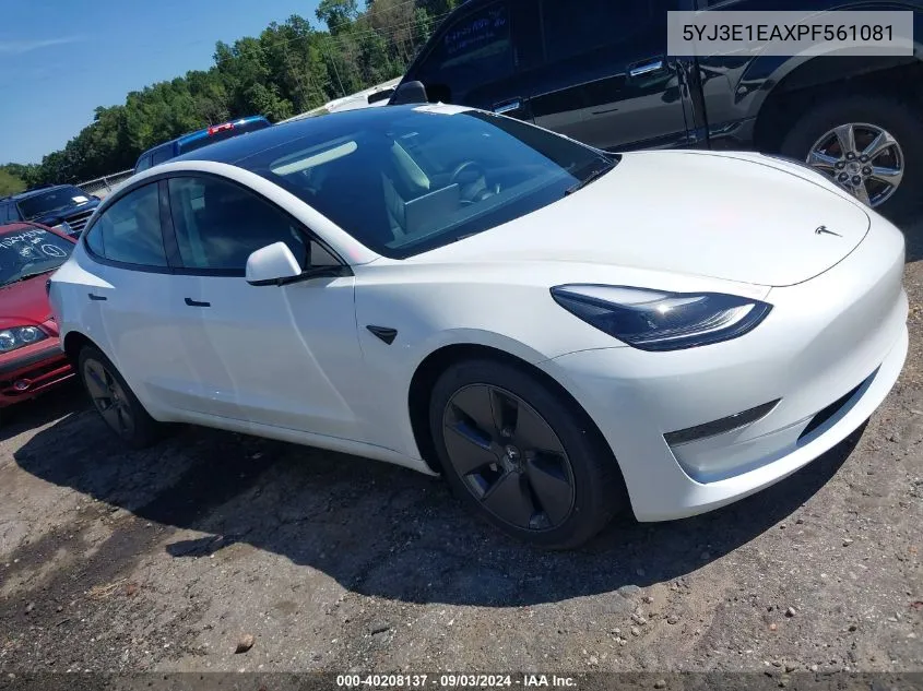 2023 Tesla Model 3 Rear-Wheel Drive VIN: 5YJ3E1EAXPF561081 Lot: 40208137