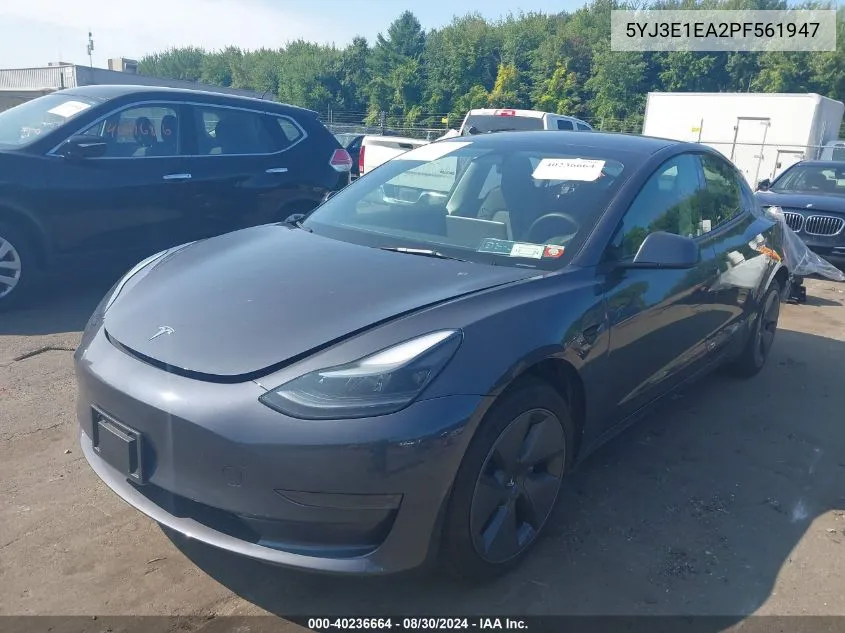 2023 Tesla Model 3 Rear-Wheel Drive VIN: 5YJ3E1EA2PF561947 Lot: 40236664