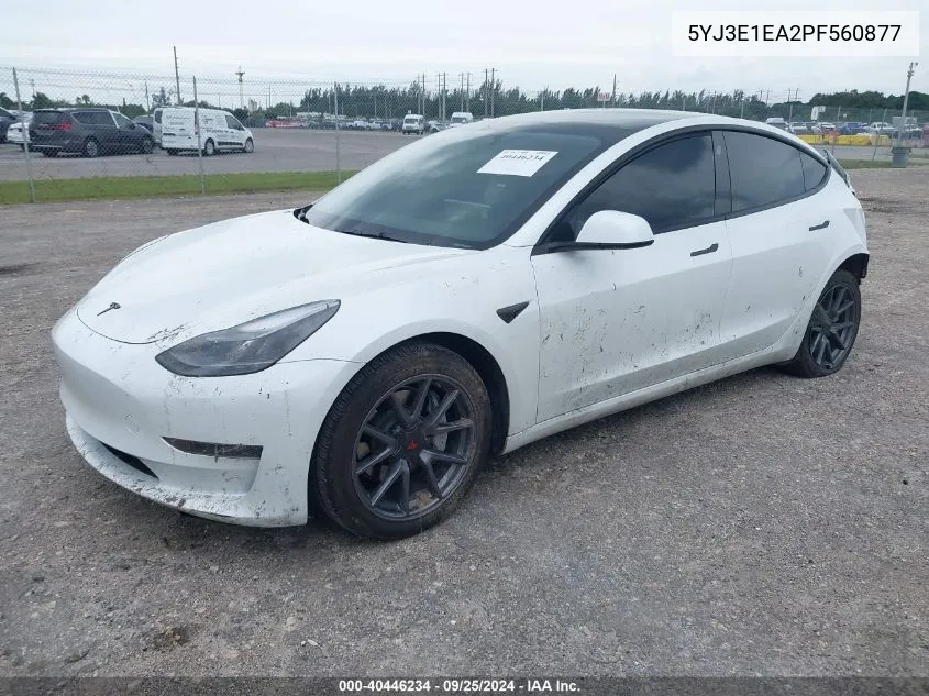 2023 Tesla Model 3 Rear-Wheel Drive VIN: 5YJ3E1EA2PF560877 Lot: 40446234