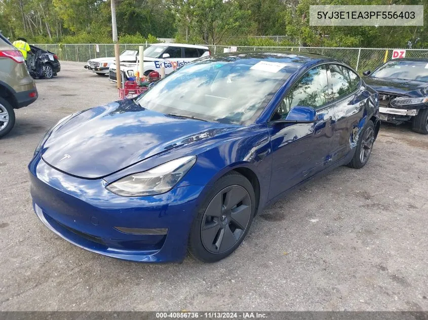 2023 Tesla Model 3 Rear-Wheel Drive VIN: 5YJ3E1EA3PF556403 Lot: 40856736