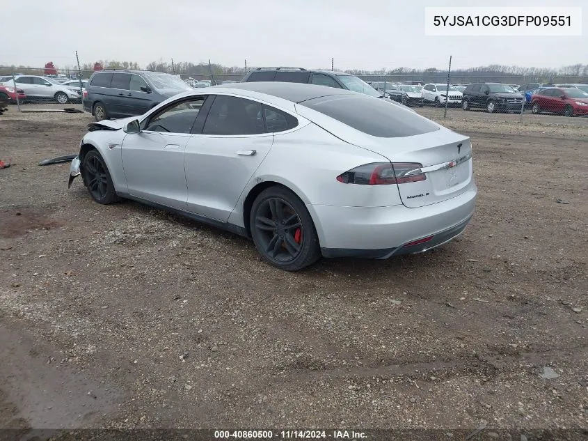 2013 Tesla Model S VIN: 5YJSA1CG3DFP09551 Lot: 40860500