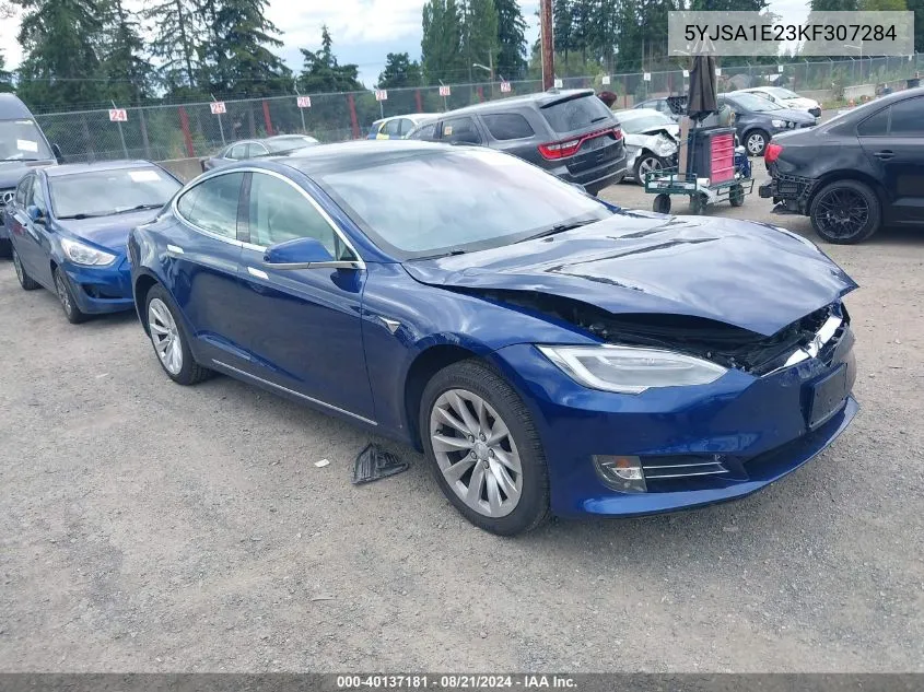 2019 Tesla Model S 100D/75D/Long Range/Standard Range VIN: 5YJSA1E23KF307284 Lot: 40137181