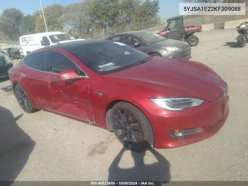 2019 Tesla Model S 100D/75D/Long Range/Standard Range VIN: 5YJSA1E22KF309088 Lot: 40523650