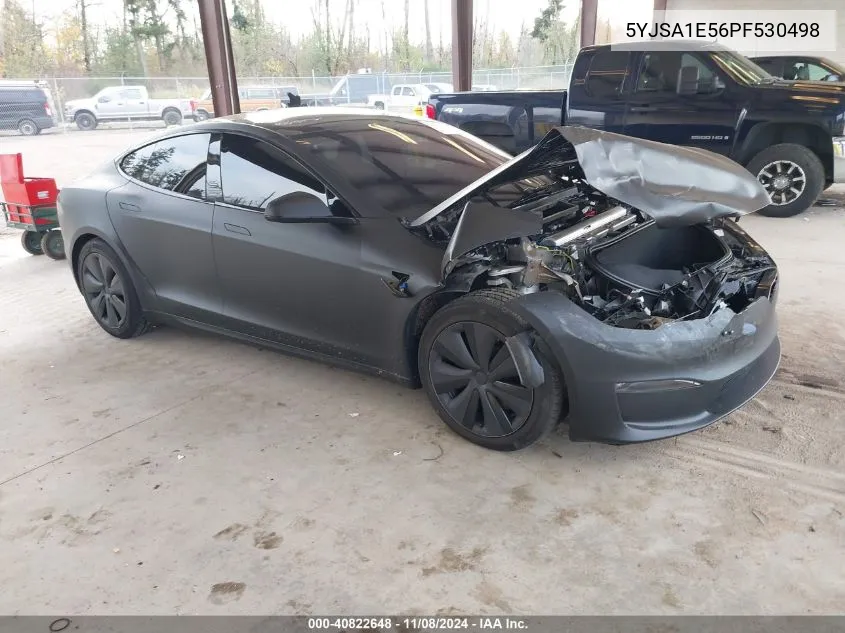 2023 Tesla Model S Dual Motor All-Wheel Drive/Standard Range VIN: 5YJSA1E56PF530498 Lot: 40822648