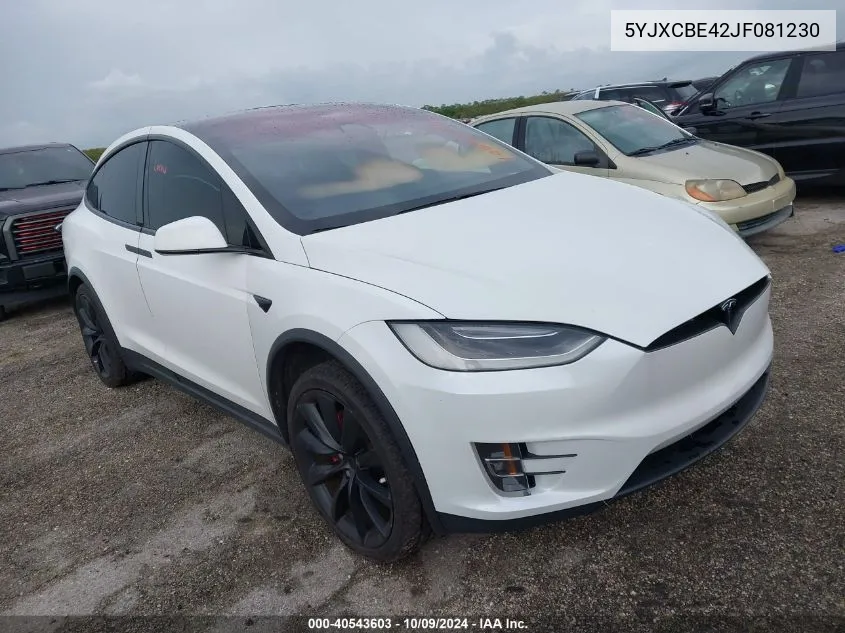 2018 Tesla Model X VIN: 5YJXCBE42JF081230 Lot: 40543603