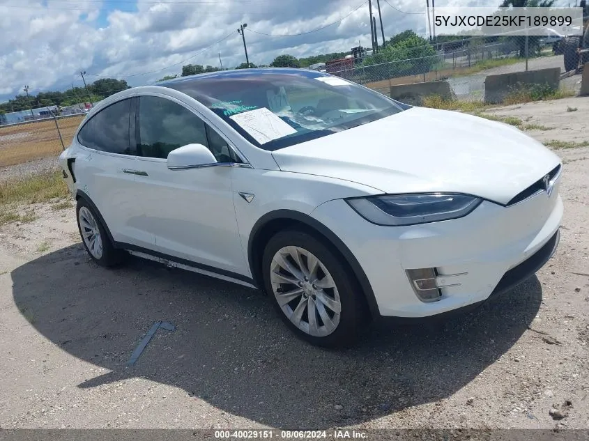 2019 Tesla Model X 100D/75D/Long Range/Standard Range VIN: 5YJXCDE25KF189899 Lot: 40029151