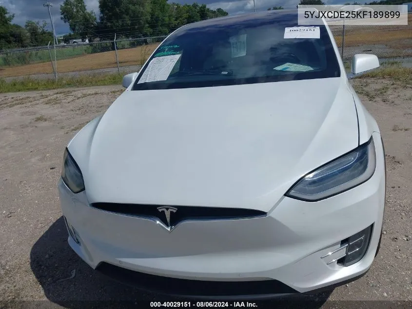 2019 Tesla Model X 100D/75D/Long Range/Standard Range VIN: 5YJXCDE25KF189899 Lot: 40029151