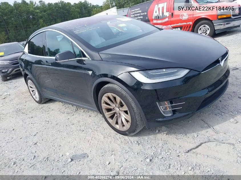 2019 Tesla Model X 100D/75D/Long Range VIN: 5YJXCAE22KF184495 Lot: 40266274