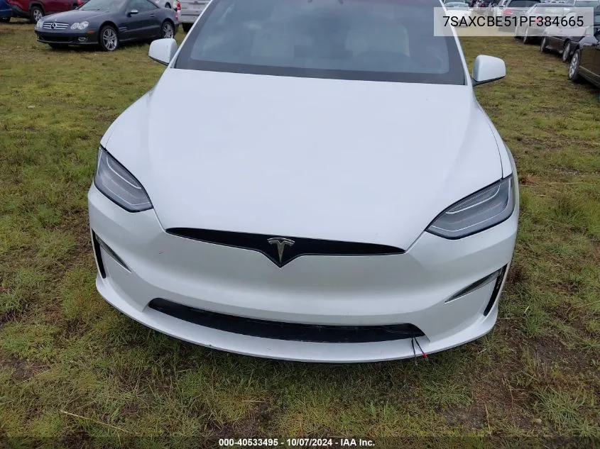 2023 Tesla Model X VIN: 7SAXCBE51PF384665 Lot: 40533495