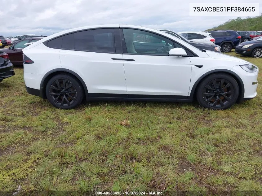 2023 Tesla Model X VIN: 7SAXCBE51PF384665 Lot: 40533495