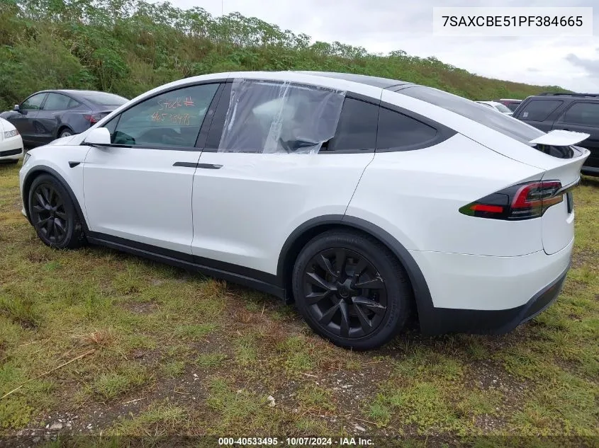 2023 Tesla Model X VIN: 7SAXCBE51PF384665 Lot: 40533495