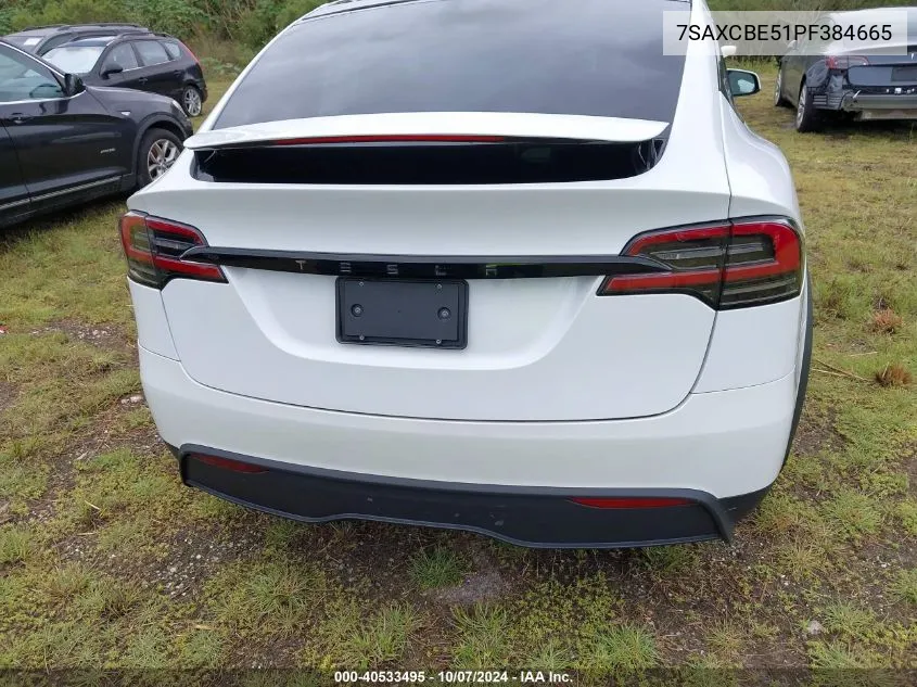 2023 Tesla Model X VIN: 7SAXCBE51PF384665 Lot: 40533495