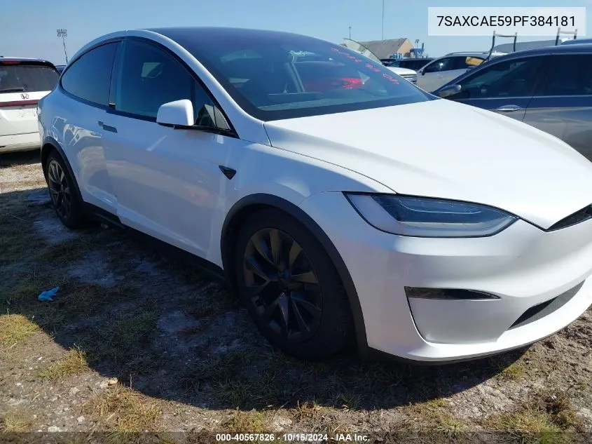 2023 Tesla Model X Dual Motor All-Wheel Drive/Standard Range VIN: 7SAXCAE59PF384181 Lot: 40567826