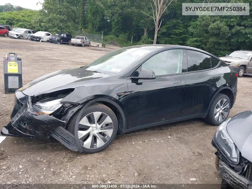 2021 Tesla Model Y VIN: 5YJYGDEE7MF250384 Lot: 39933408