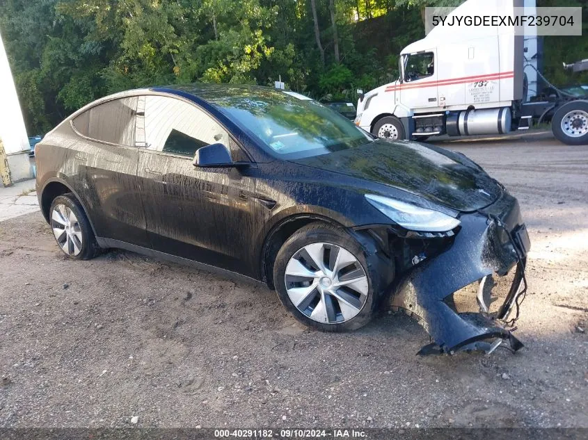 5YJYGDEEXMF239704 2021 Tesla Model Y