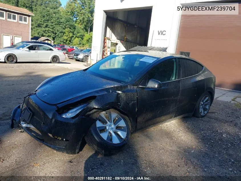 5YJYGDEEXMF239704 2021 Tesla Model Y