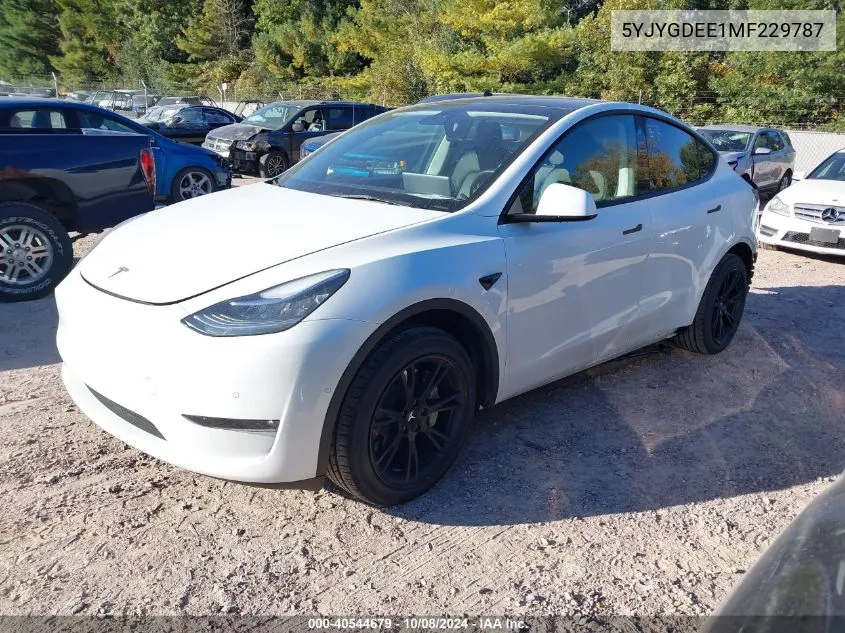 2021 Tesla Model Y VIN: 5YJYGDEE1MF229787 Lot: 40544679