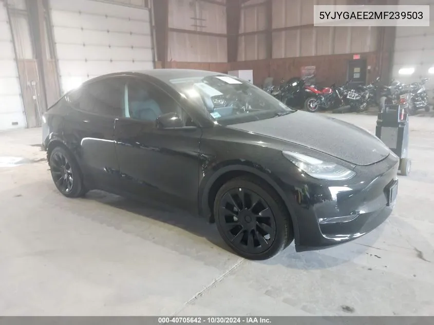 2021 Tesla Model Y Long Range Dual Motor All-Wheel Drive VIN: 5YJYGAEE2MF239503 Lot: 40705642