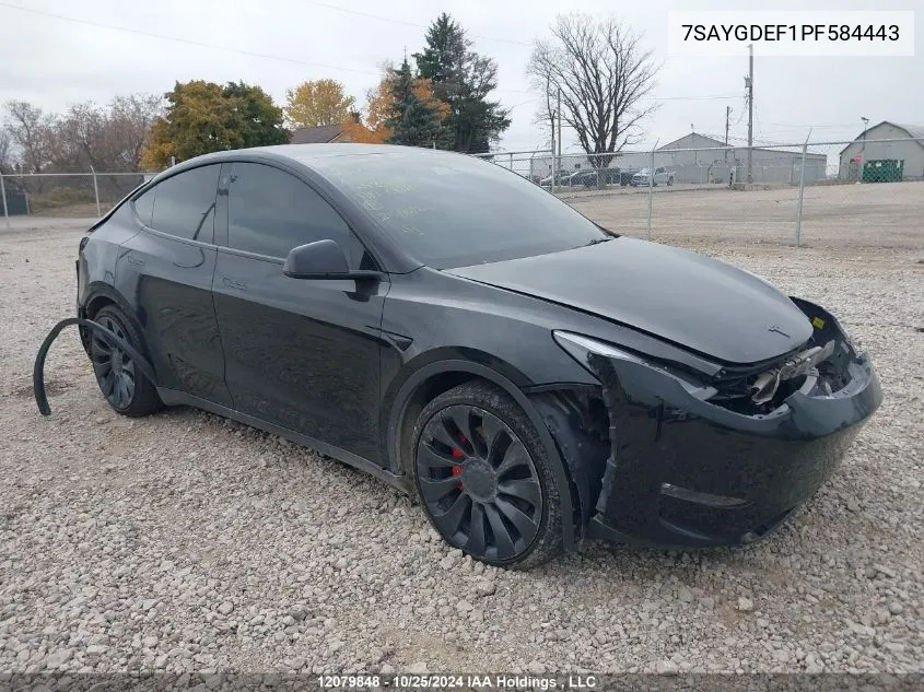 2023 Tesla Model Y VIN: 7SAYGDEF1PF584443 Lot: 12079848