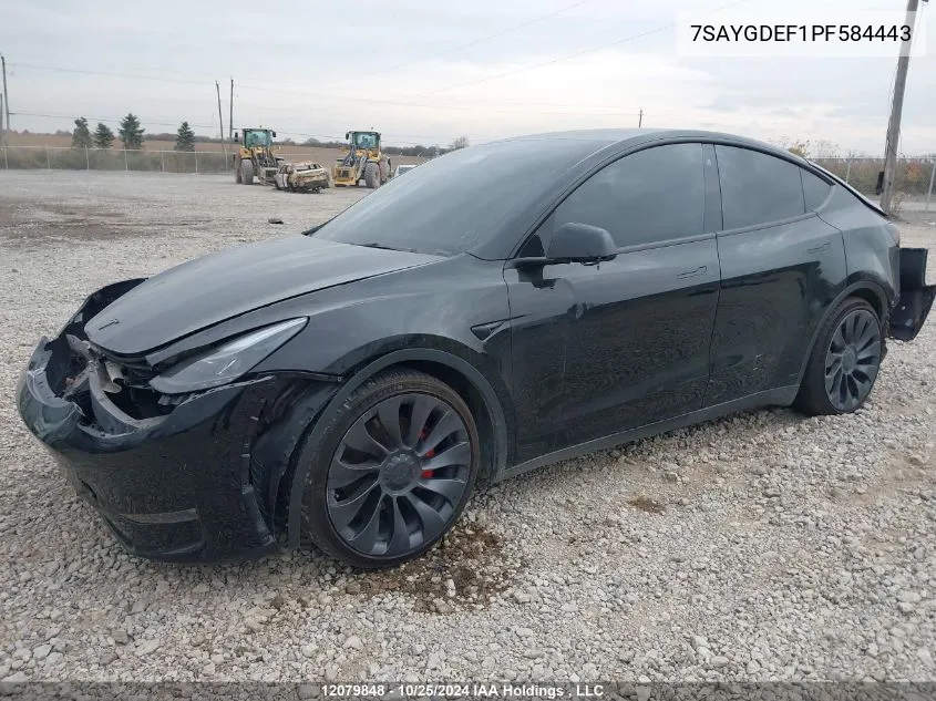 2023 Tesla Model Y VIN: 7SAYGDEF1PF584443 Lot: 12079848