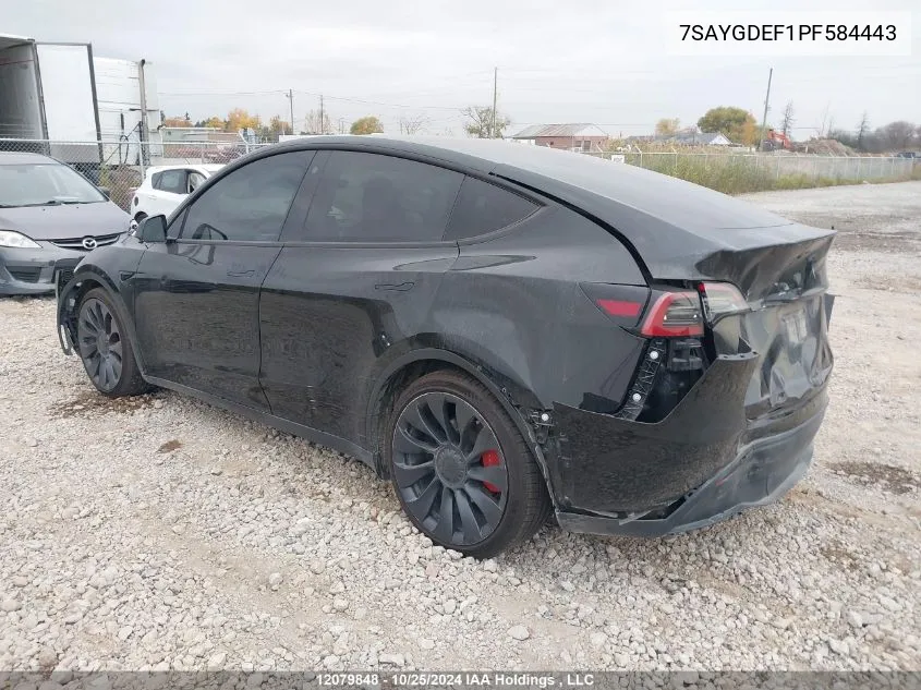 2023 Tesla Model Y VIN: 7SAYGDEF1PF584443 Lot: 12079848