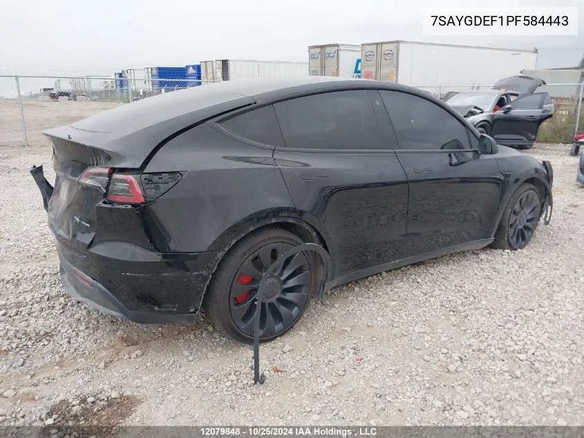 2023 Tesla Model Y VIN: 7SAYGDEF1PF584443 Lot: 12079848