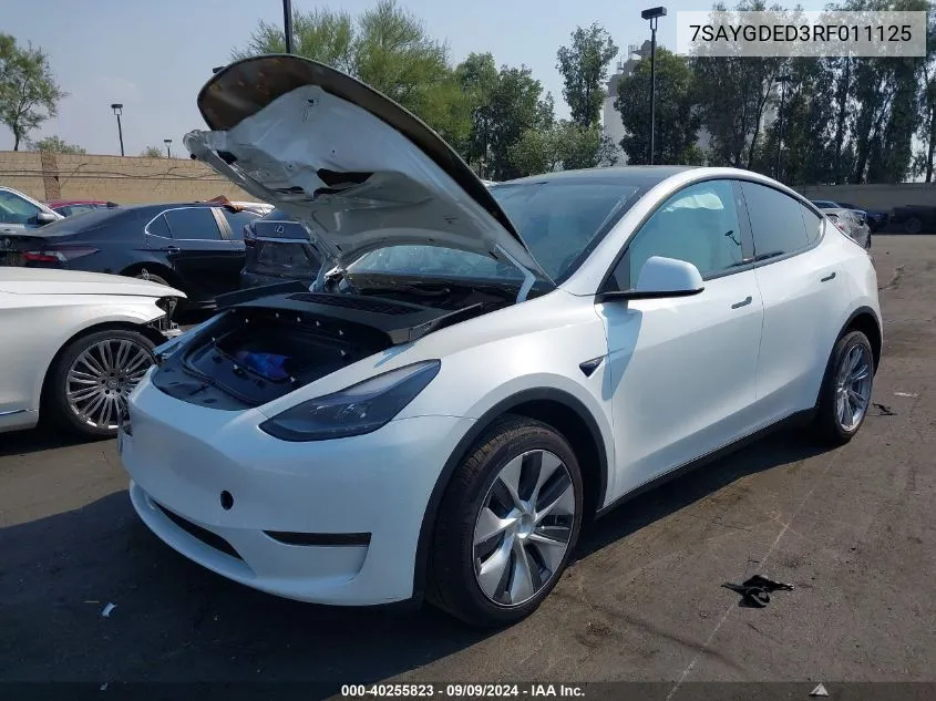 2024 Tesla Model Y Long Range Dual Motor All-Wheel Drive/Rwd VIN: 7SAYGDED3RF011125 Lot: 40255823