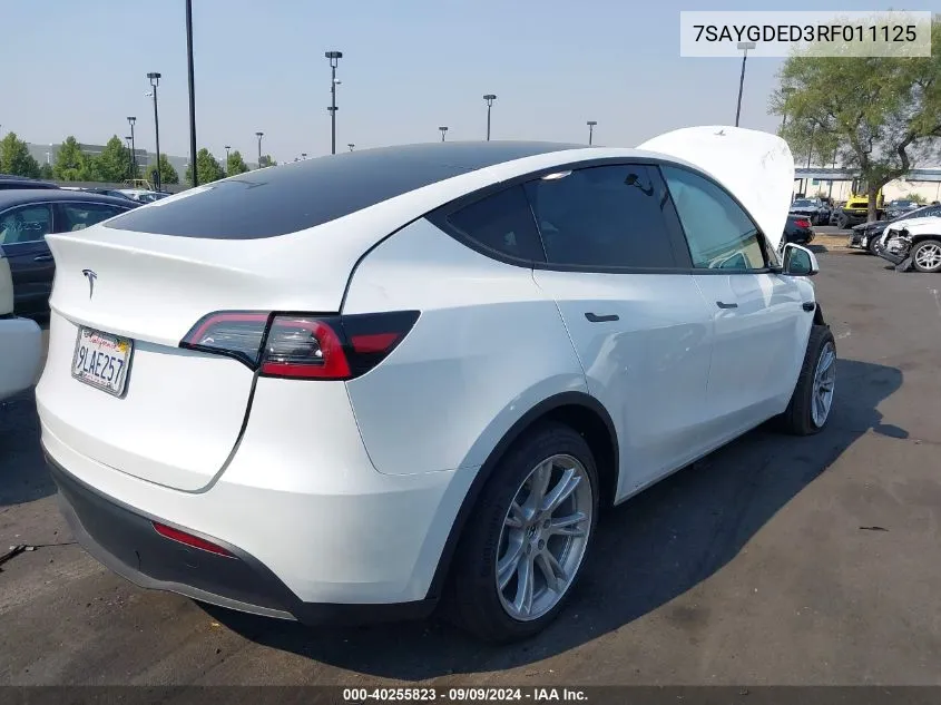 2024 Tesla Model Y Long Range Dual Motor All-Wheel Drive/Rwd VIN: 7SAYGDED3RF011125 Lot: 40255823