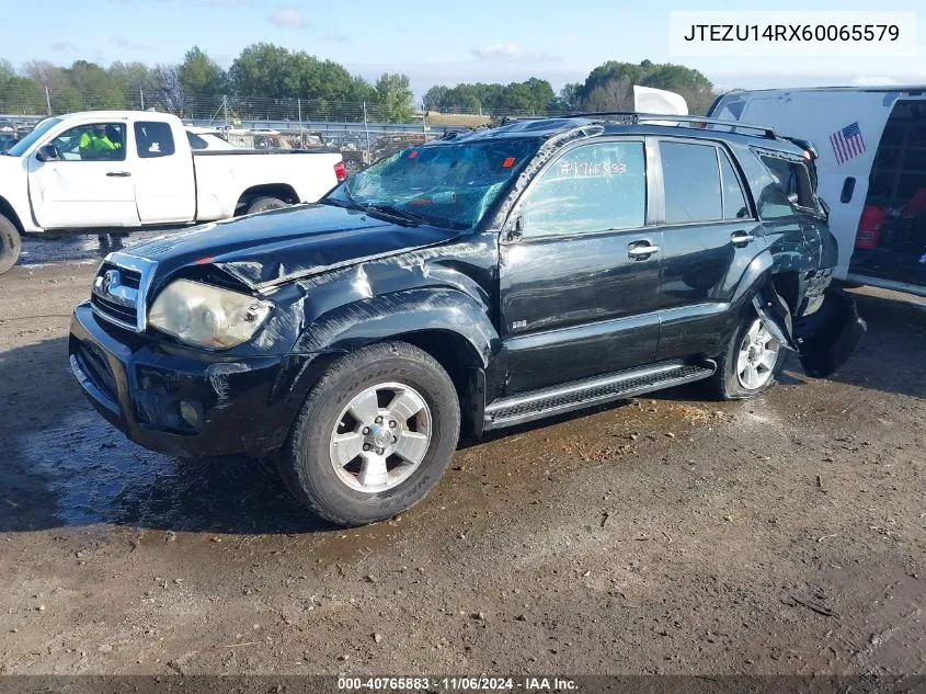 2006 Toyota 4Runner Sr5 V6 VIN: JTEZU14RX60065579 Lot: 40765883