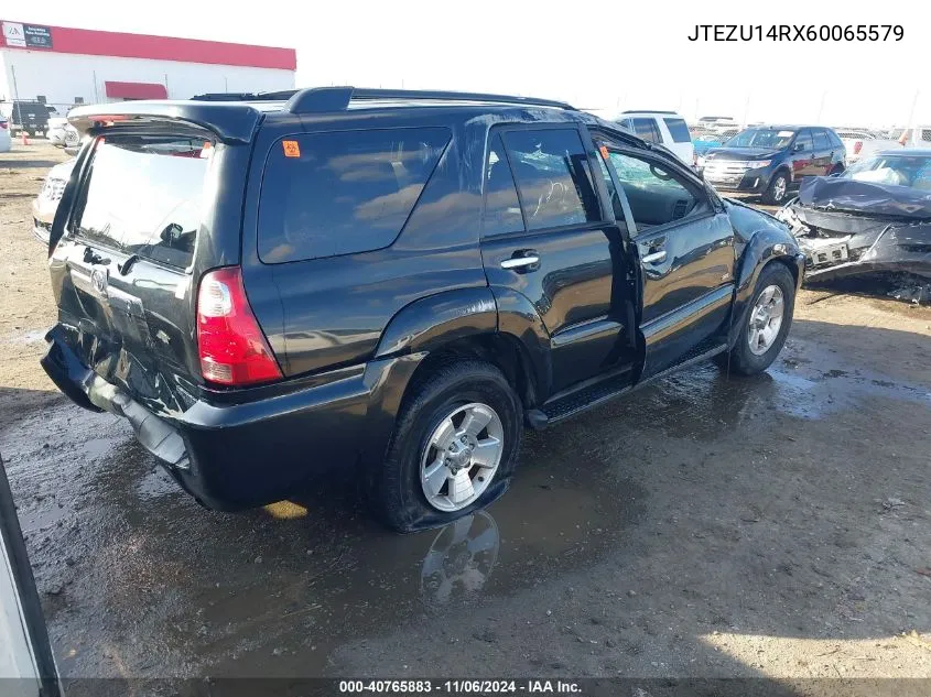 2006 Toyota 4Runner Sr5 V6 VIN: JTEZU14RX60065579 Lot: 40765883