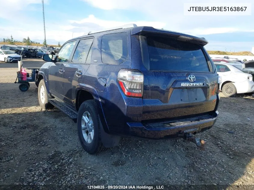 2014 Toyota 4Runner Sr5/Limited/Trail VIN: JTEBU5JR3E5163867 Lot: 12104825