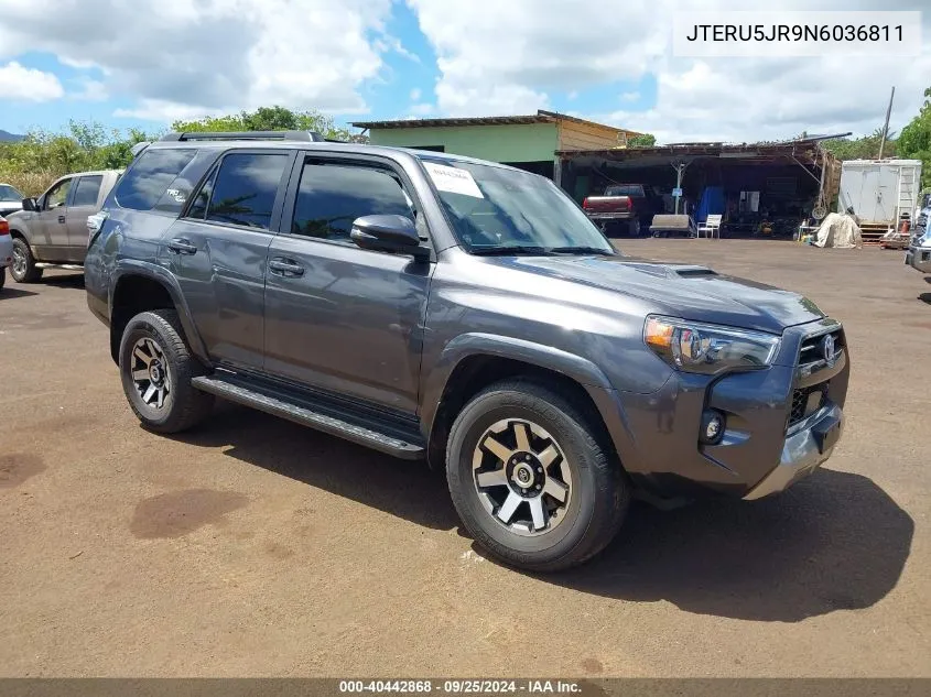 2022 Toyota 4Runner Trd Off Road Premium VIN: JTERU5JR9N6036811 Lot: 40442868