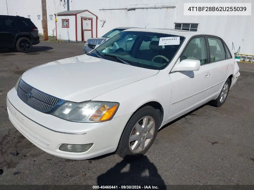 2002 Toyota Avalon Xls VIN: 4T1BF28B62U255039 Lot: 40460441