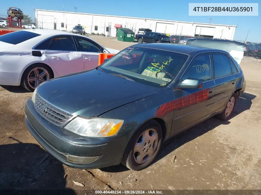 2004 Toyota Avalon Xls VIN: 4T1BF28B44U365901 Lot: 40448234