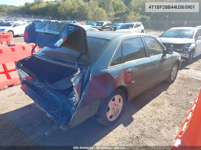 2004 Toyota Avalon Xls VIN: 4T1BF28B44U365901 Lot: 40448234