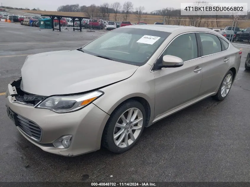 2013 Toyota Avalon Limited VIN: 4T1BK1EB5DU066802 Lot: 40848702