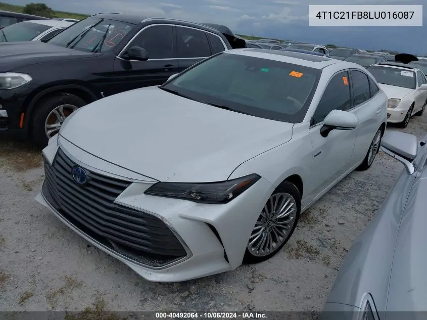 2020 Toyota Avalon Hybrid Limited VIN: 4T1C21FB8LU016087 Lot: 40492064