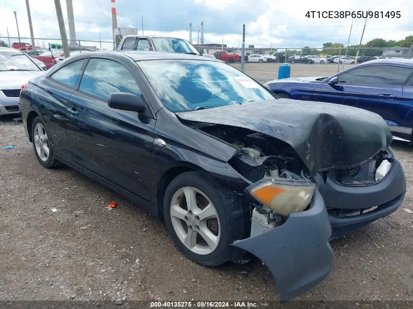 2005 Toyota Camry Solara Se Sport VIN: 4T1CE38P65U981495 Lot: 40135275