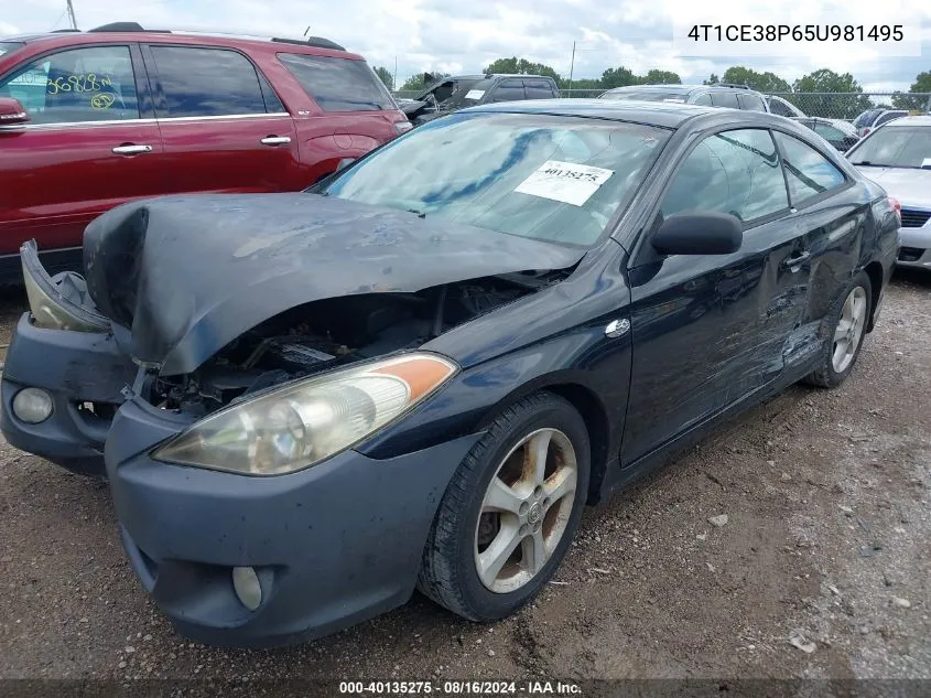 2005 Toyota Camry Solara Se Sport VIN: 4T1CE38P65U981495 Lot: 40135275