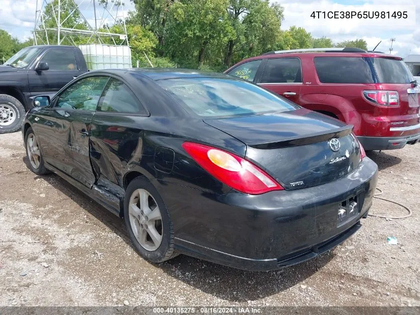 2005 Toyota Camry Solara Se Sport VIN: 4T1CE38P65U981495 Lot: 40135275