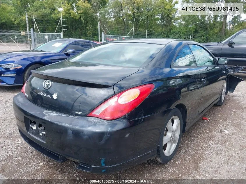 2005 Toyota Camry Solara Se Sport VIN: 4T1CE38P65U981495 Lot: 40135275