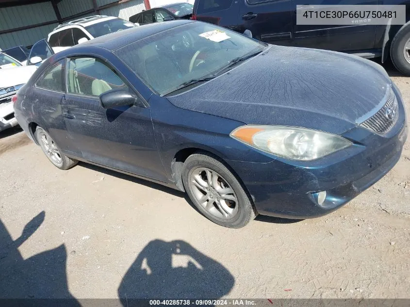 2006 Toyota Camry Solara Sle VIN: 4T1CE30P66U750481 Lot: 40285738