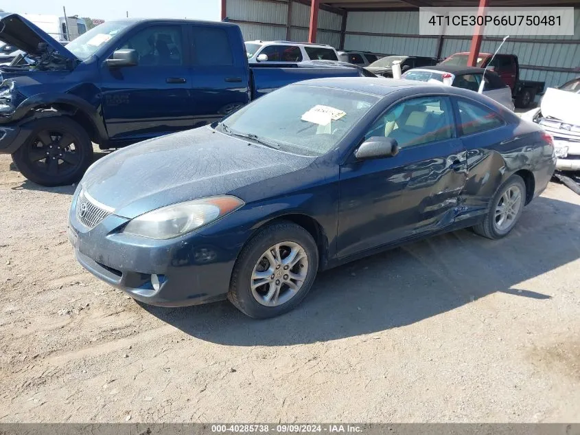 2006 Toyota Camry Solara Sle VIN: 4T1CE30P66U750481 Lot: 40285738