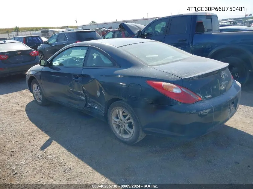 2006 Toyota Camry Solara Sle VIN: 4T1CE30P66U750481 Lot: 40285738