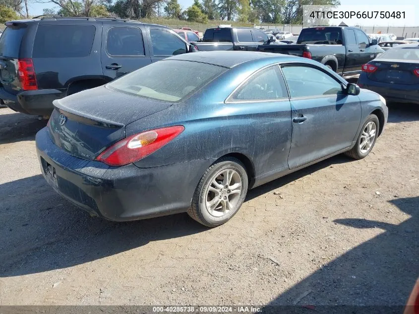 2006 Toyota Camry Solara Sle VIN: 4T1CE30P66U750481 Lot: 40285738