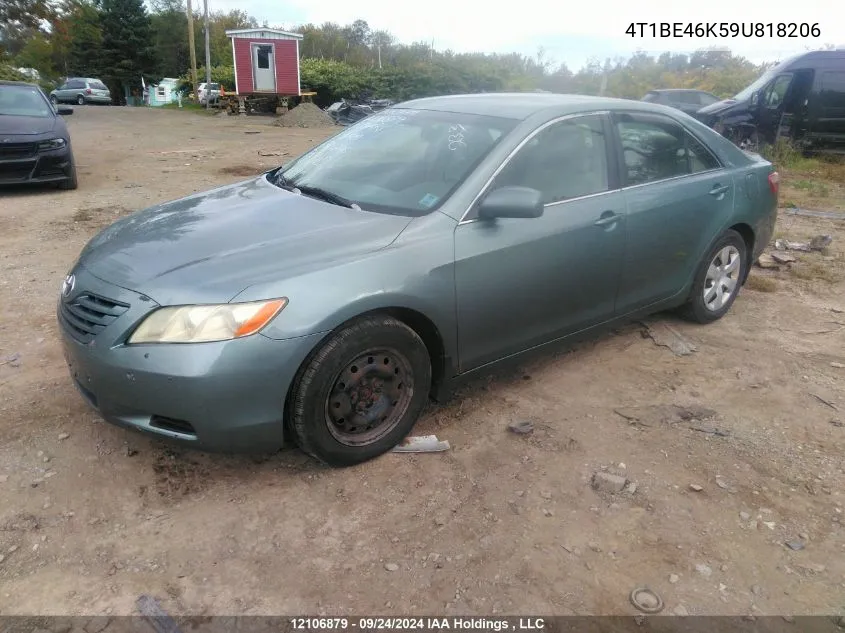 2009 Toyota Camry Le VIN: 4T1BE46K59U818206 Lot: 12106879