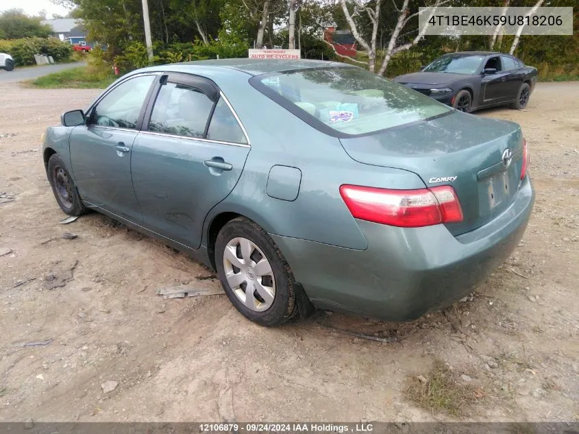 4T1BE46K59U818206 2009 Toyota Camry Le