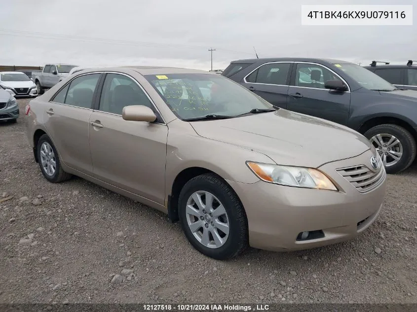 2009 Toyota Camry Xle V6 VIN: 4T1BK46KX9U079116 Lot: 12127518