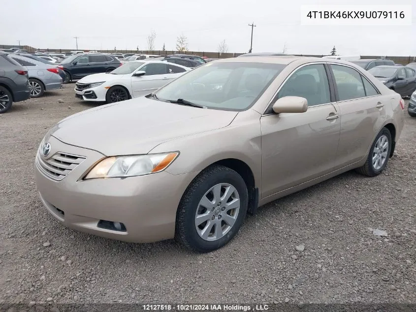 2009 Toyota Camry Xle V6 VIN: 4T1BK46KX9U079116 Lot: 12127518