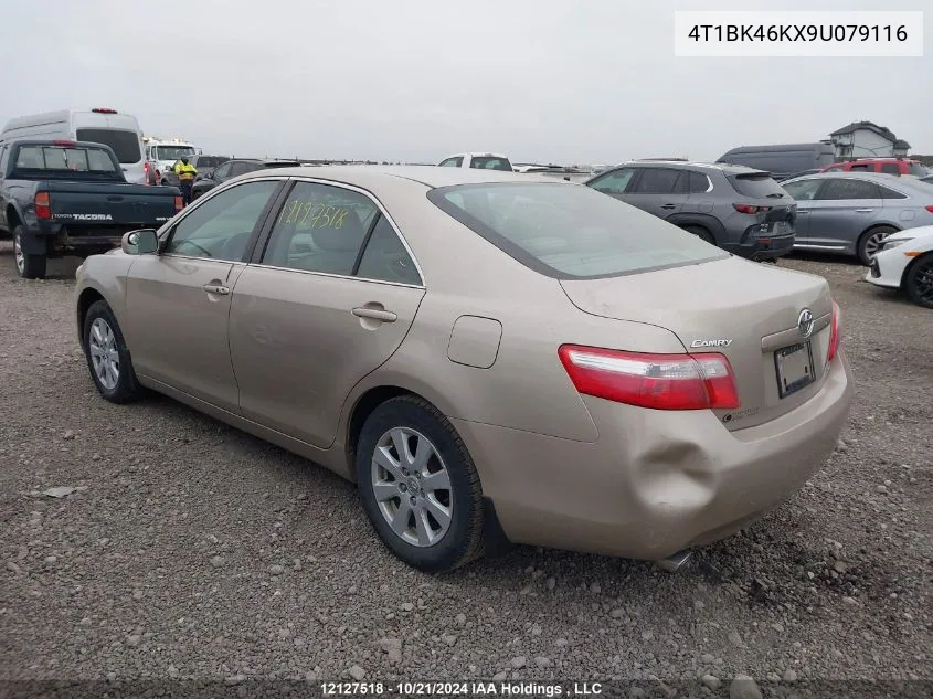 2009 Toyota Camry Xle V6 VIN: 4T1BK46KX9U079116 Lot: 12127518